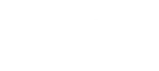BDS MAKINA